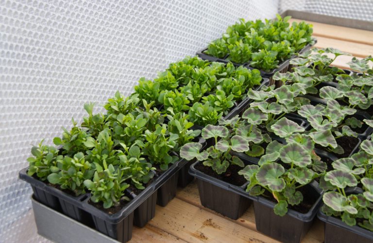 Burbuja resistente a rayos ultravioletas UV