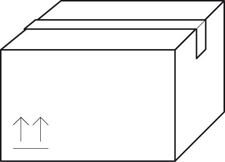 Formato de presentación