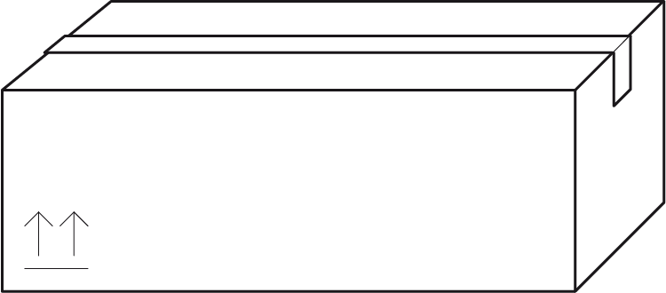 Formato de presentación